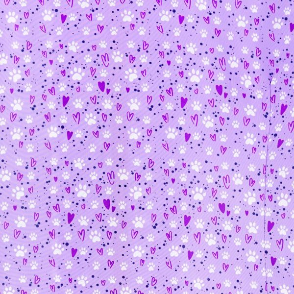 13205PA_2