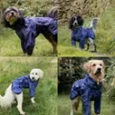 Mikki Dog Coat 3.webp