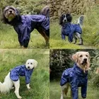 Mikki Dog Coat 3.webp