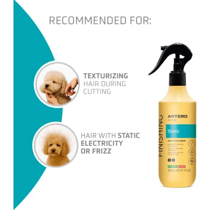 Artero staic control 2.webp