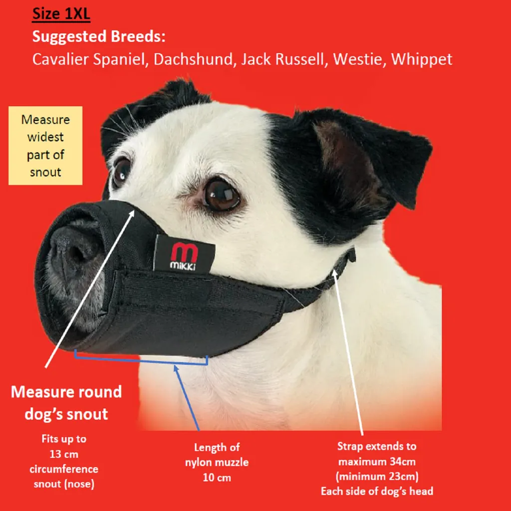 Mikki Muzzle 1XL.webp