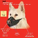 Mikki muzzle 3.webp
