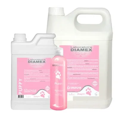 classic-shampoo-puppy-groupage.webp