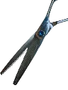 Shark 3 - Bewerkt.webp