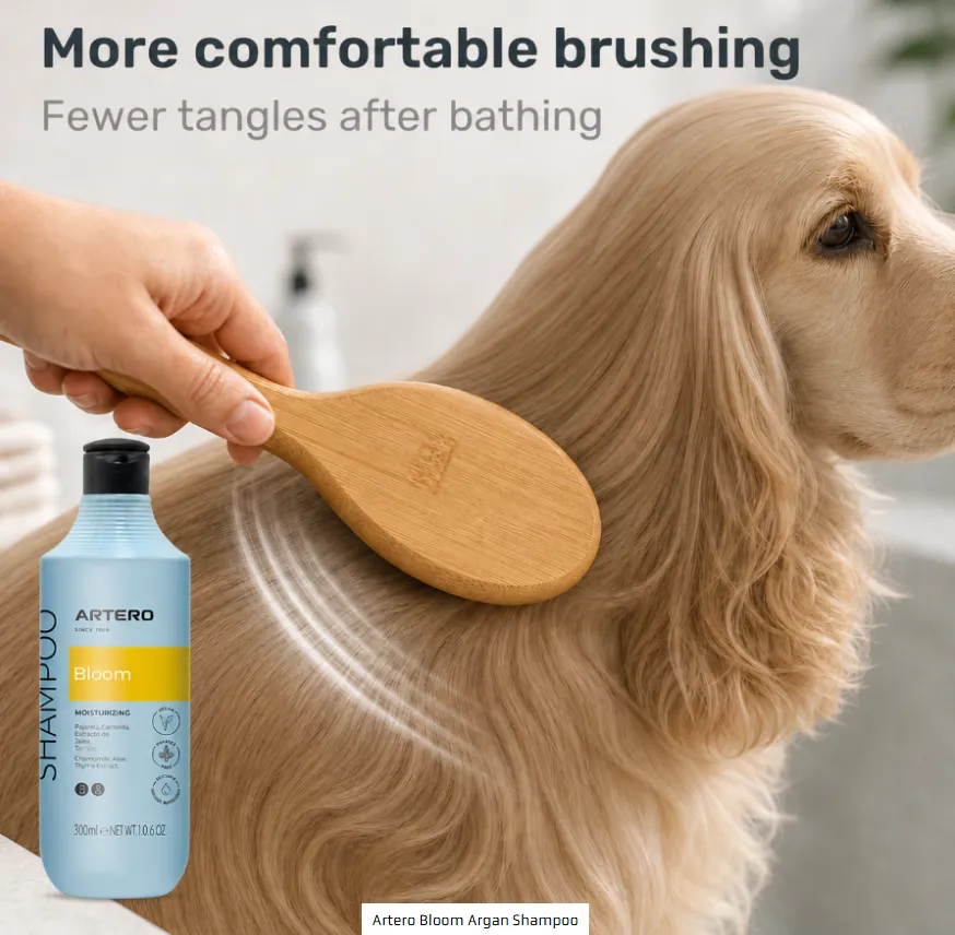 bloom 6.webp