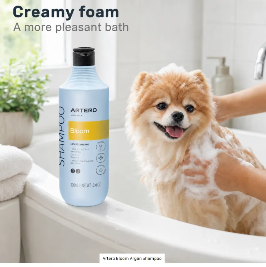 bloom 2.webp