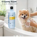 bloom 2.webp
