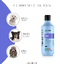 blanc.webp