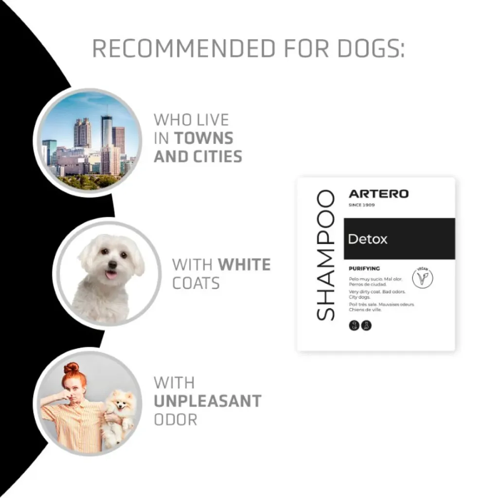detox shampoo.webp