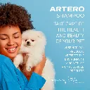 Artero baby 1.webp