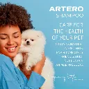 Artero baby 1.webp