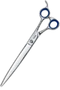 Shark O 1.webp