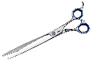 Shark O 2.webp