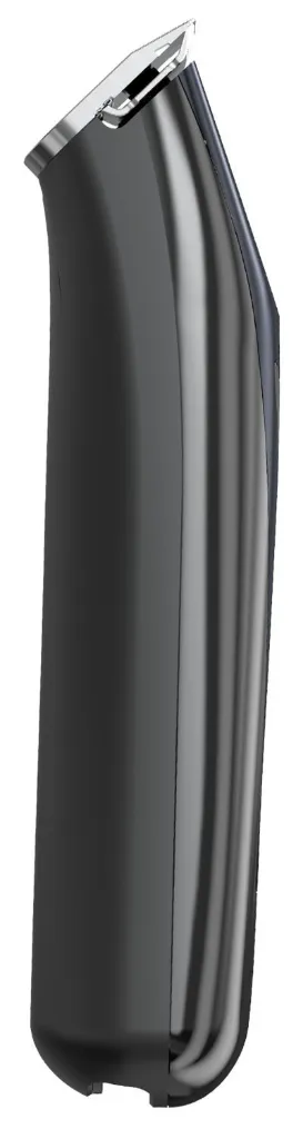 Fidela-3.webp