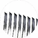 shark linfs ef. 1.webp