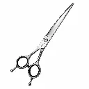 Shark Links 2.webp