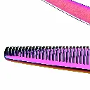 shark 10.webp