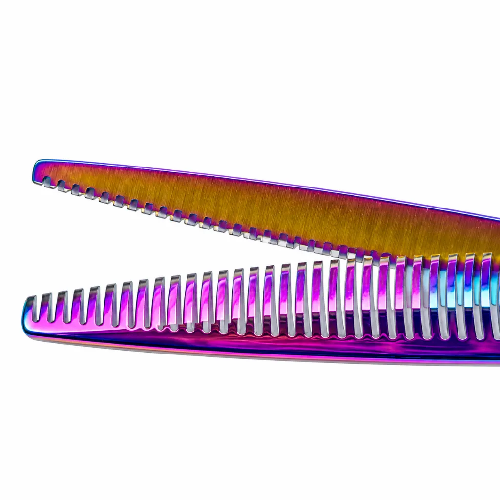 Shark 2.webp