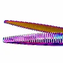 Shark 2.webp