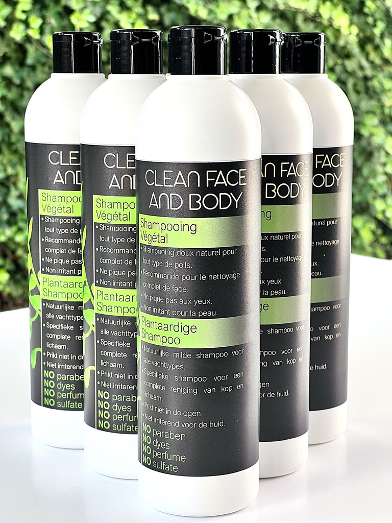 CLEAN FACE AND BODY SHAMPOO
