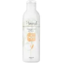 Diamex Shampoo Provence Honing