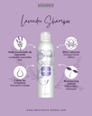 Diamex Shampoo Provence Lavendel