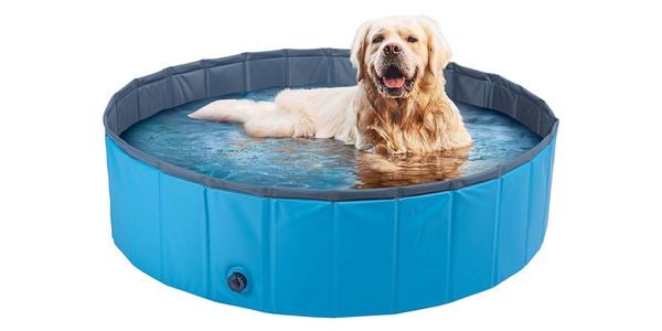[1910500] Dog Pool Diam. 120 cm H 30 cm