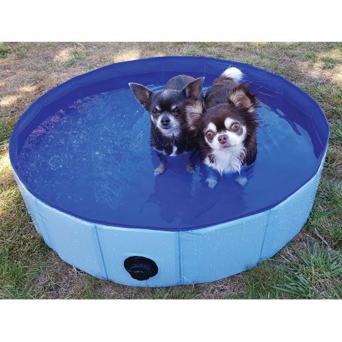 [1910501] Dog Pool Diam. 60 cm H 20 cm
