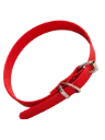 Halsband Biothane  Rood 20 mm 34 - 44cm