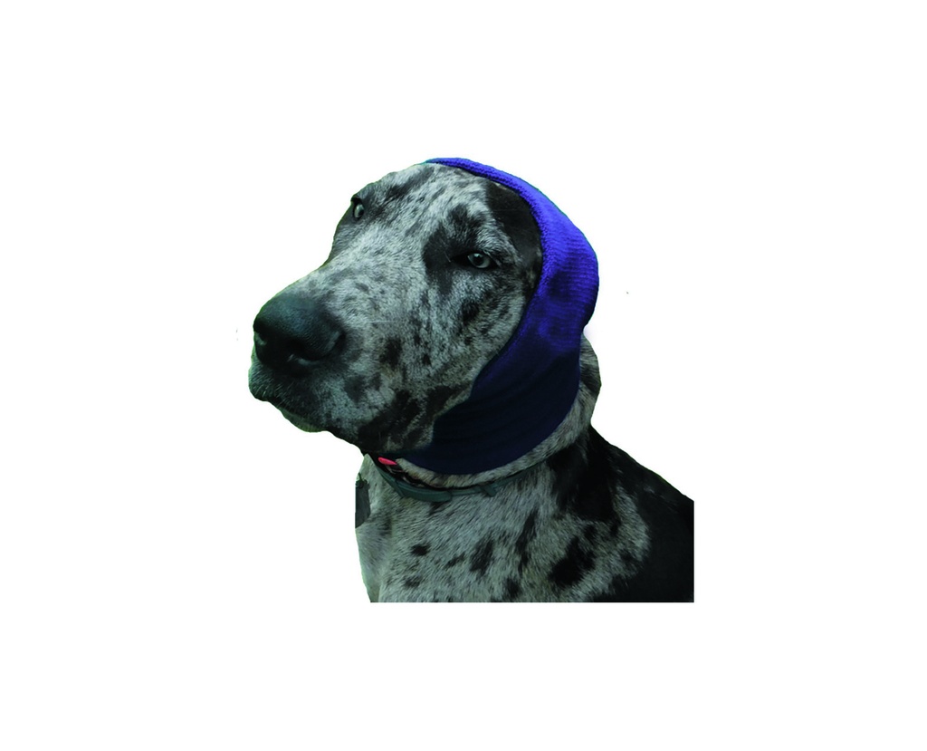 Happy Hoodie  XL  Lila / Purple