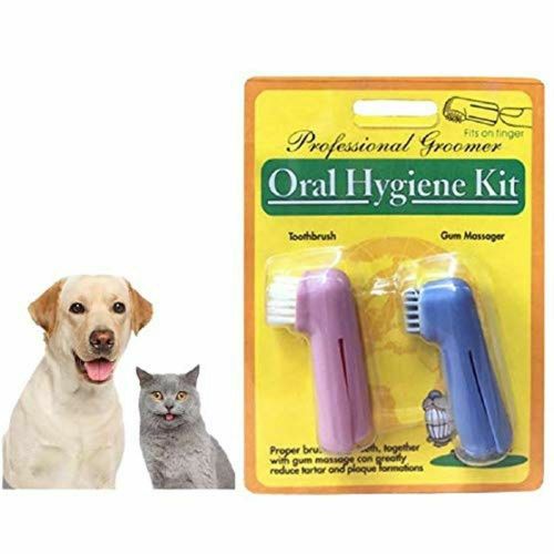 [1090211] Tandenborstel -  2 stuks