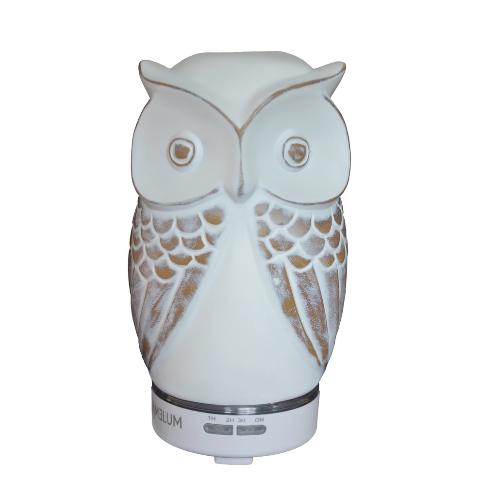 Ultrasonic diffuser AMELUM, capacity 120 ml, owl-shaped