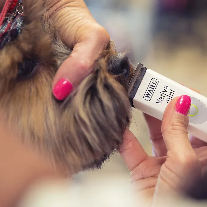 Wahl Vetiva Mini Trimmer Wit