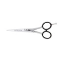 Witte Rose Line 81350 - 12.5 cm. - 5"