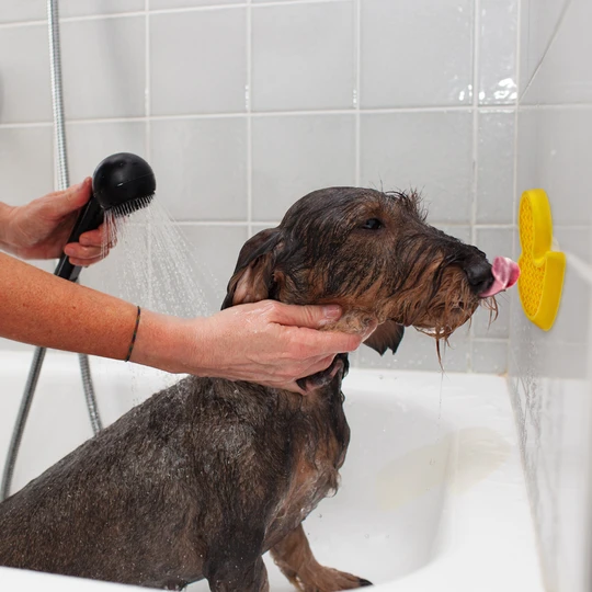 [1300398] AFP Calm Paws - Bath anti anxiety duck