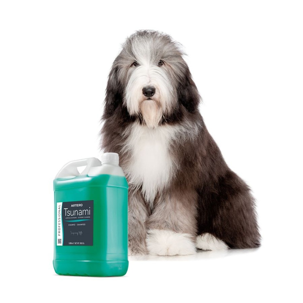 [1030003] ARTERO  Shampoo Tsunami Shampoo 5 L