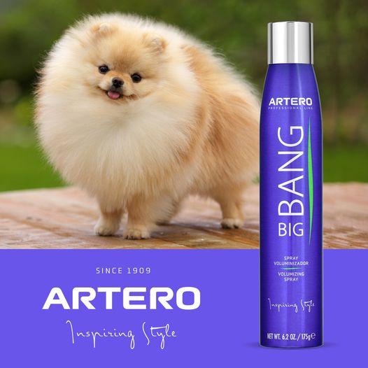 [1070051] ARTERO BIG BANG 300 ML