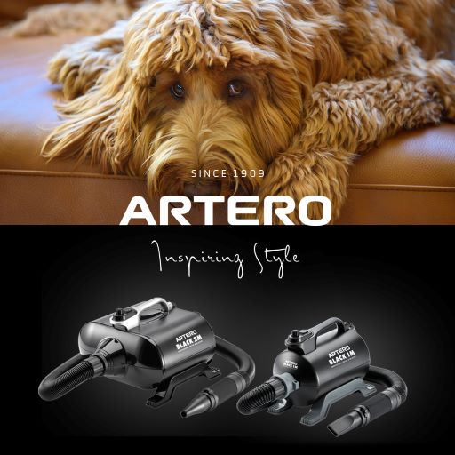 ARTERO Black 2 Motors Waterblazer