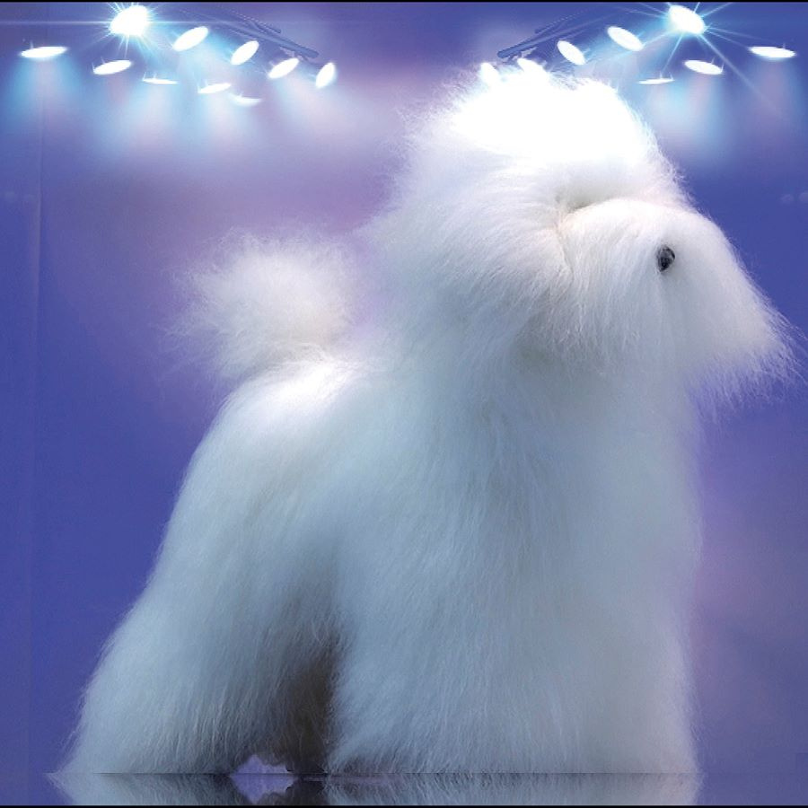 [1360016A] ARTERO BODY HEAD WIG MODEL DOG - TOY Poodle