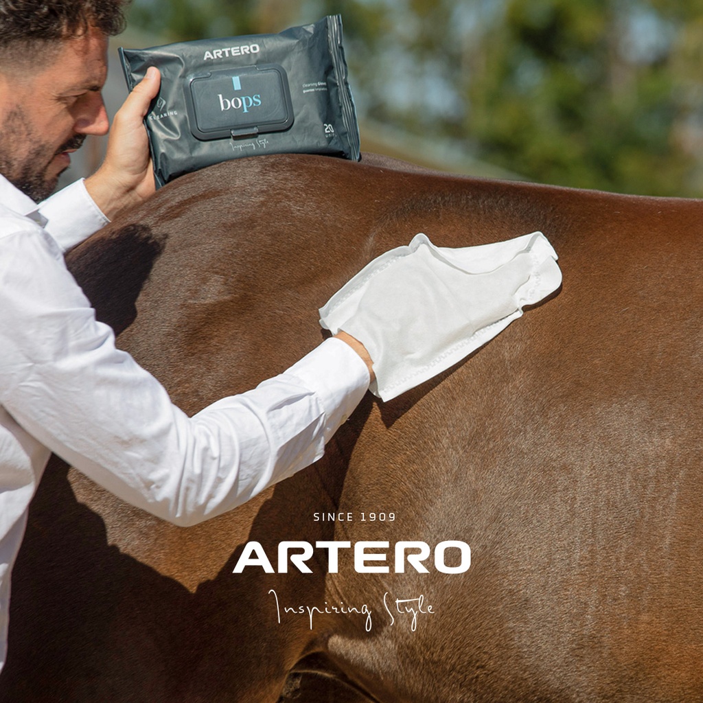 [PAH698] ARTERO BOPS GLOVE 20 UNITS