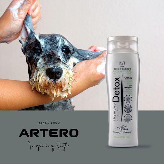 [1030055] Artero DETOX shampoo (250 ml)