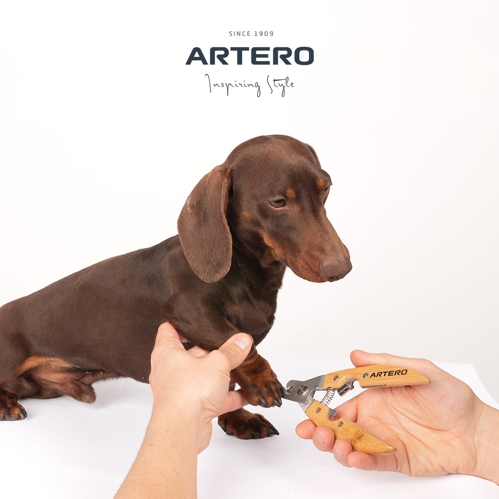 [1090366] ARTERO DUKE Nageltang M