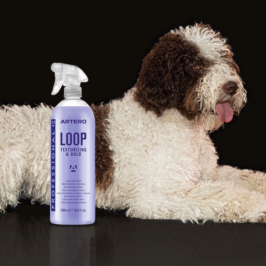 [1080073] ARTERO LOOP TEXTURIZING SPRAY (250 ml)