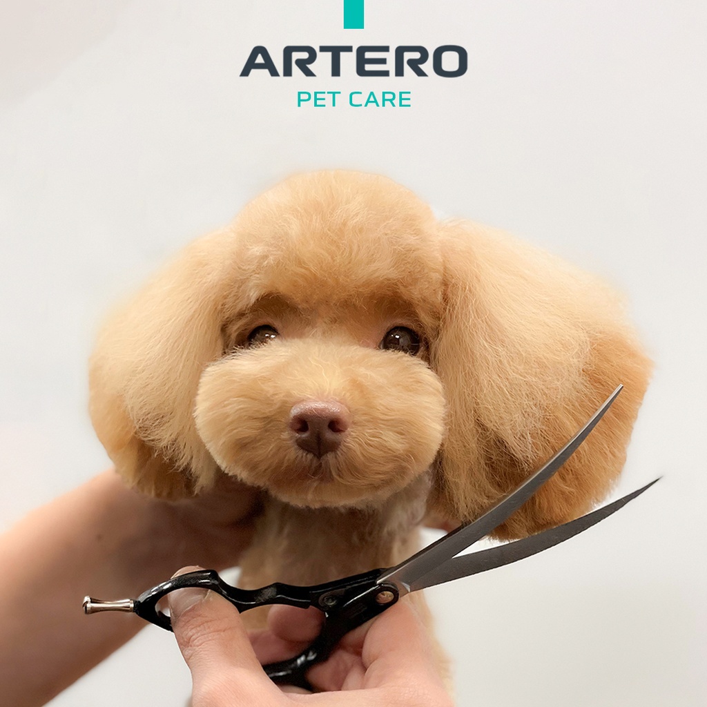 [1540240] ARTERO SCISSOR FUSION EXTRA GEBOGEN / CURVY 6”