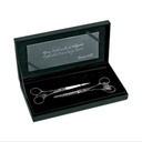 Artero Set scissors Symetric Black 5,5"