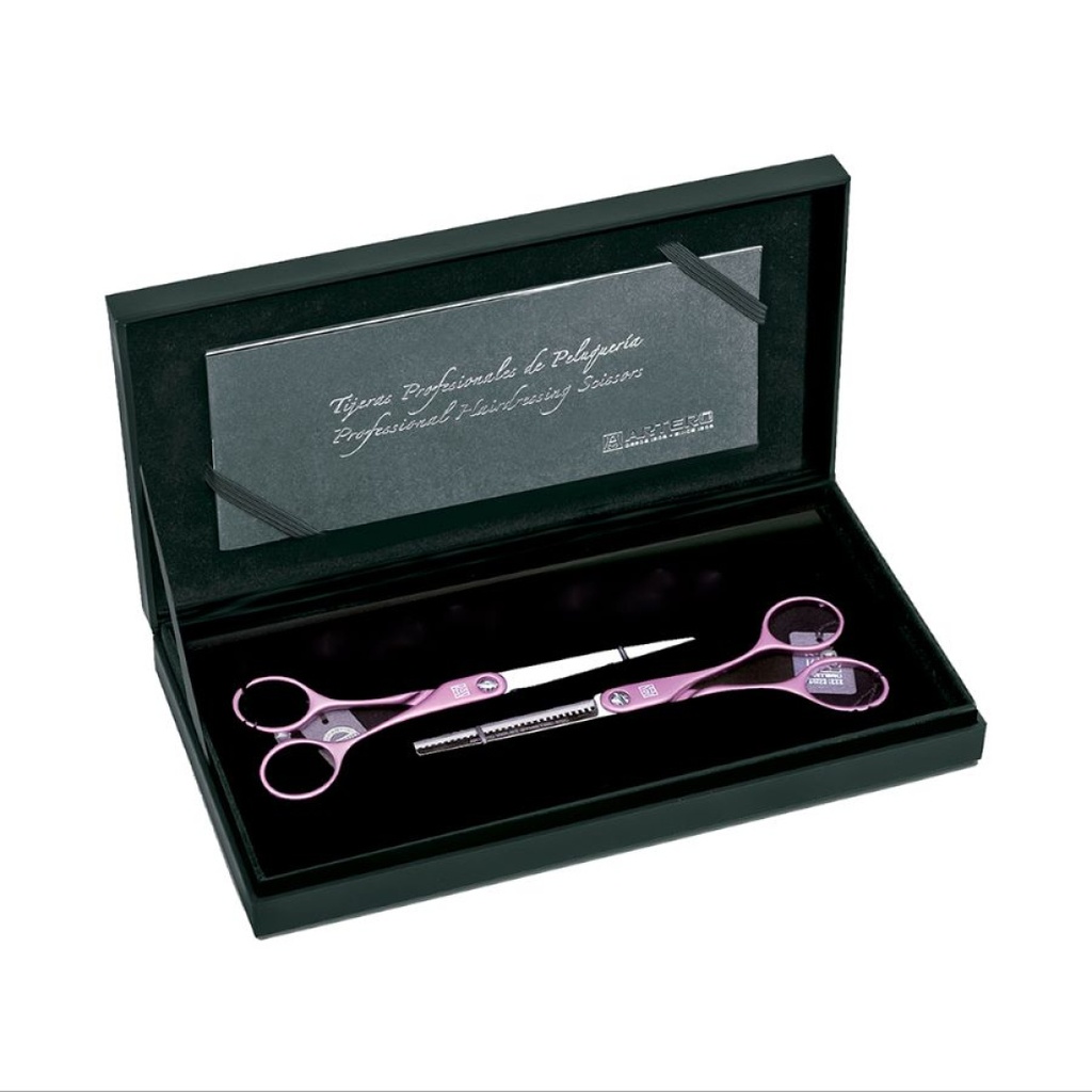 [1540301] Artero Set scissors Symetric Purple 5,5"