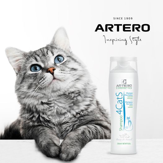 [1030040] ARTERO Shampoo Kat 250 ml.
