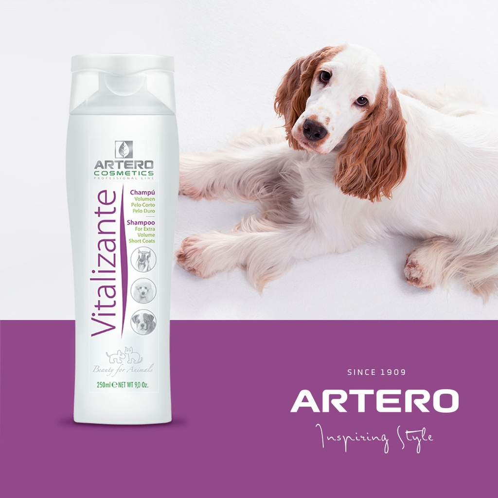 [1030010] ARTERO Shampoo Vitalizante Texturizer 250ml