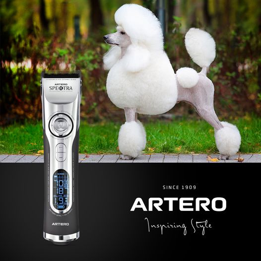 [1430820] Artero Spektra Tondeuse