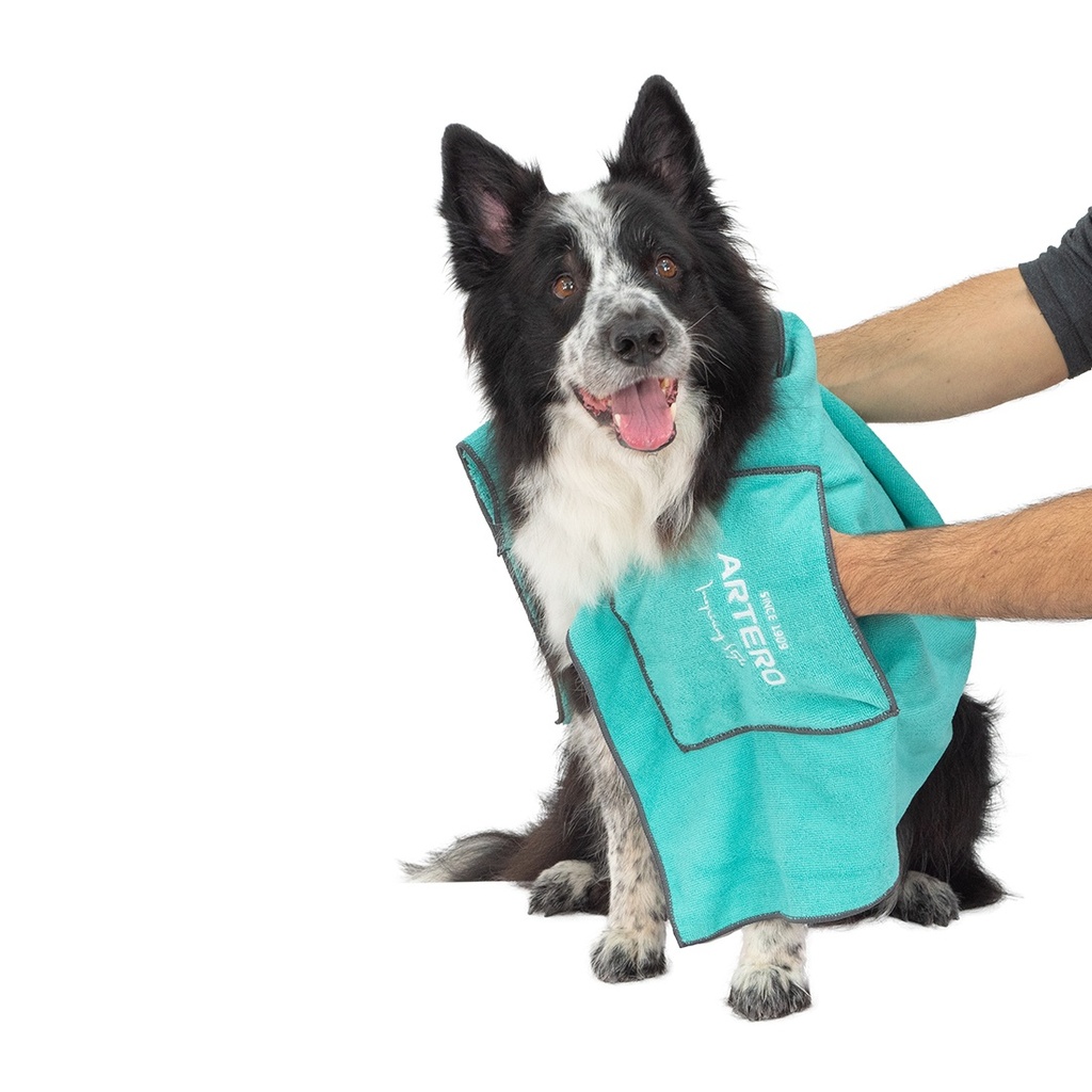 [1350028L] Artero Towel Zumba Large